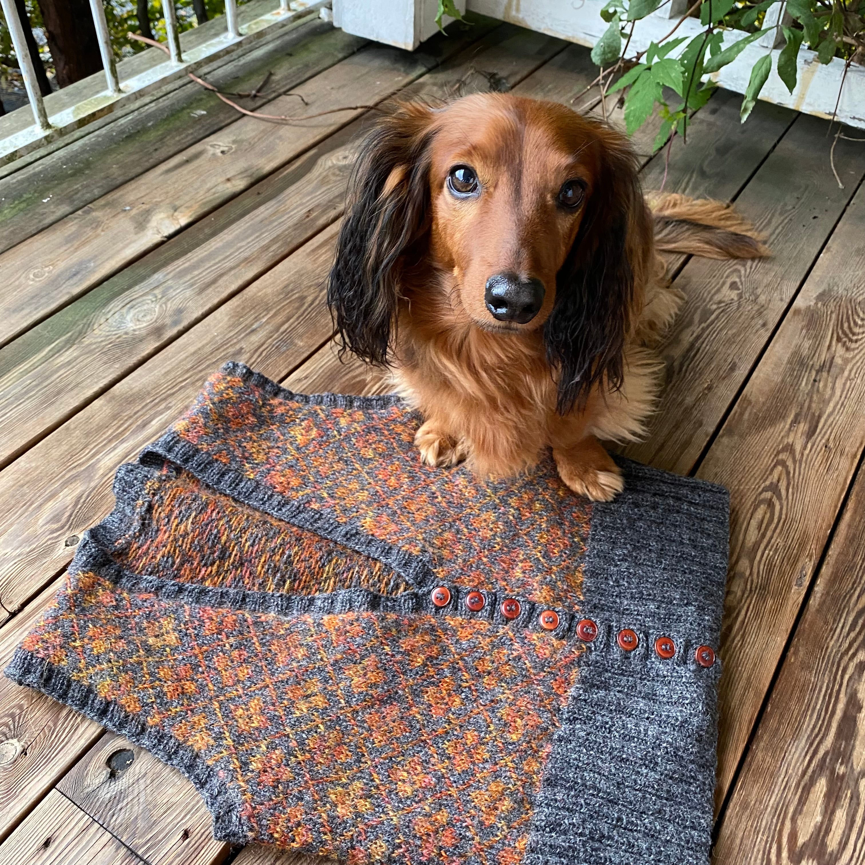 Betty vest